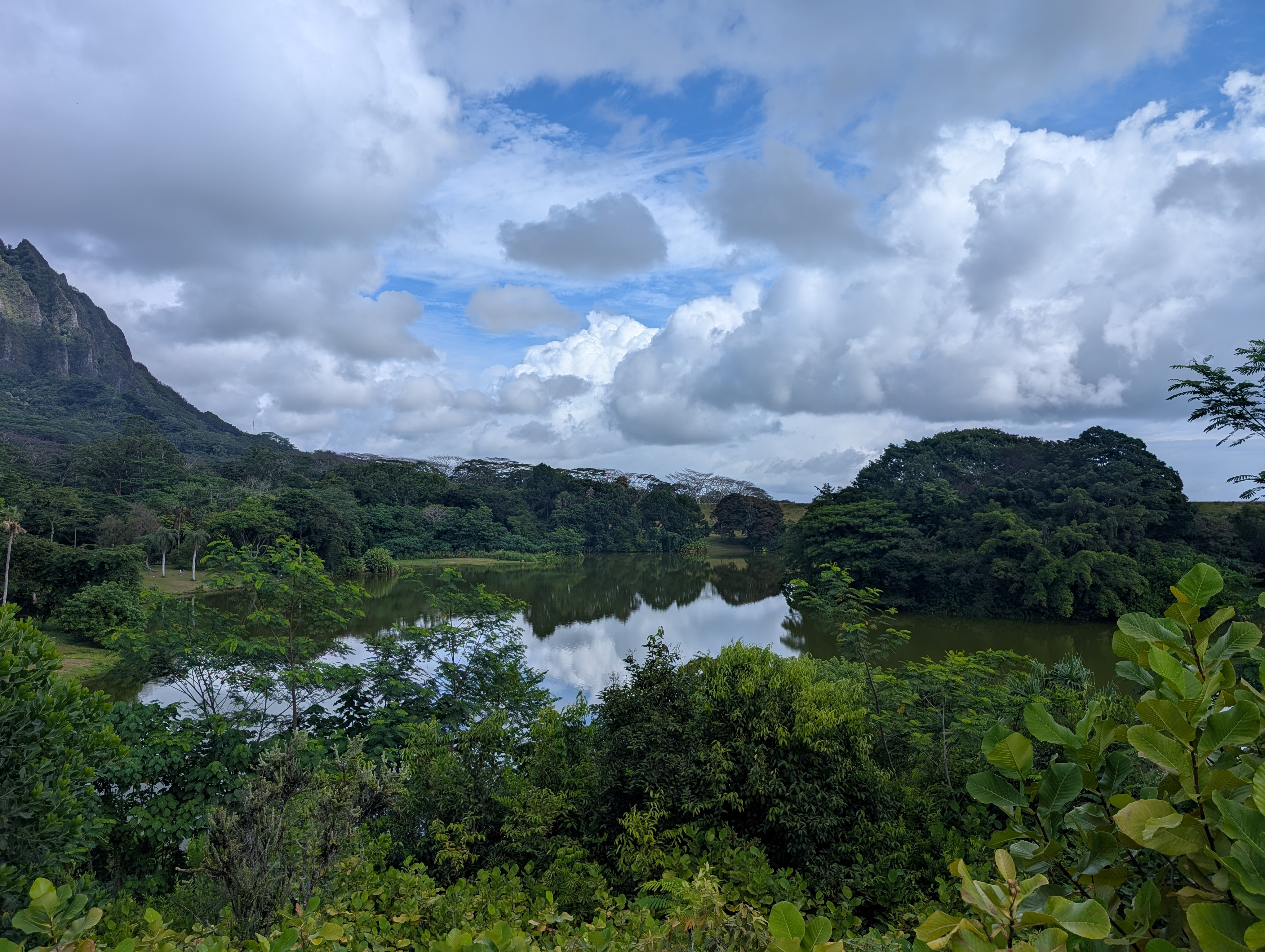 Hoʻomaluhia Botanical Garden（ホオマルヒア・ボタニカル・ガーデン）